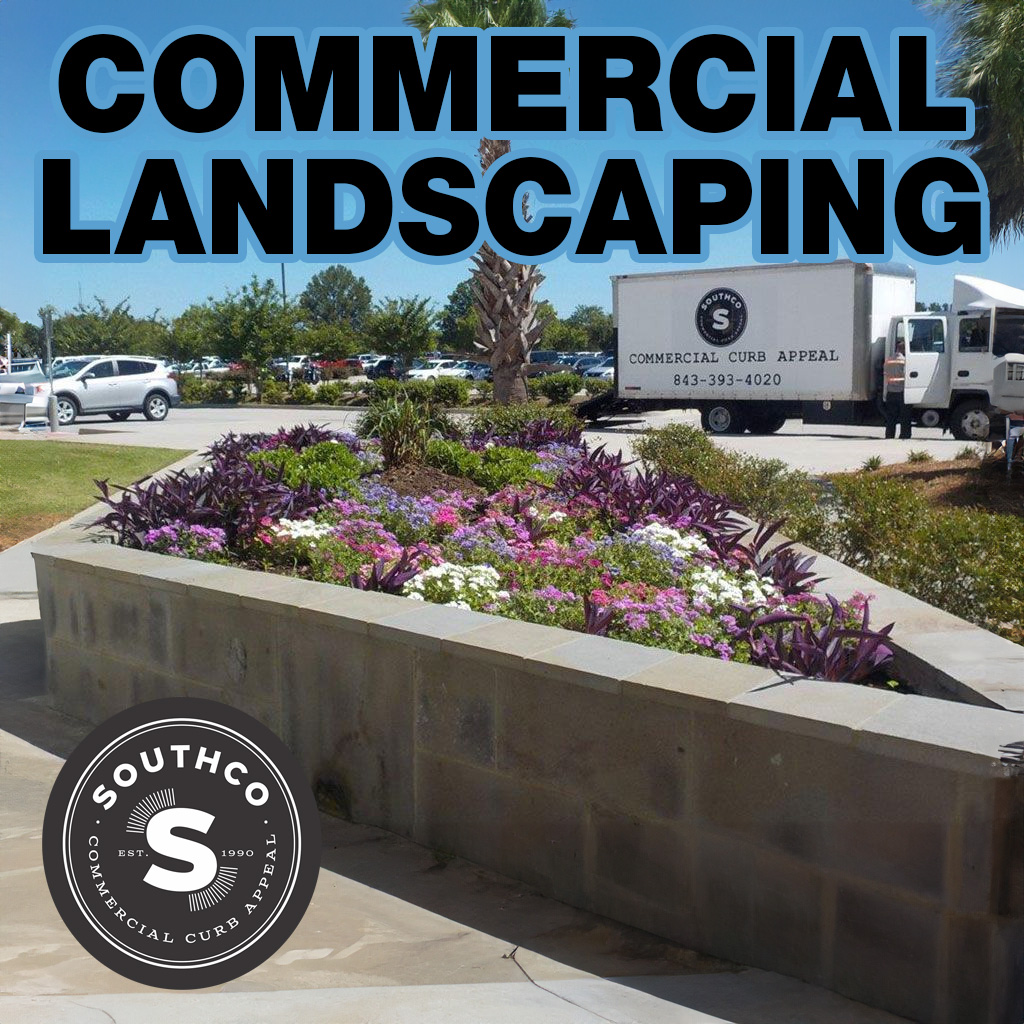 Sculpt a Stunning Landscape in Timmonsville